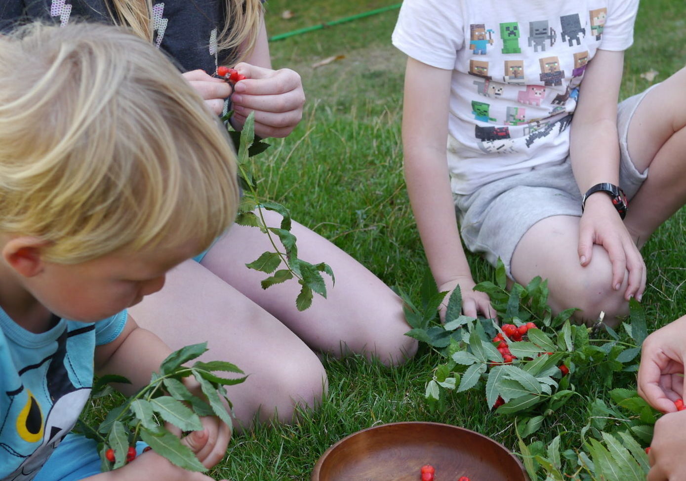 4 children of different ages sitting on grass picking red berries off leafy twigs and putting them in a wooden bowl