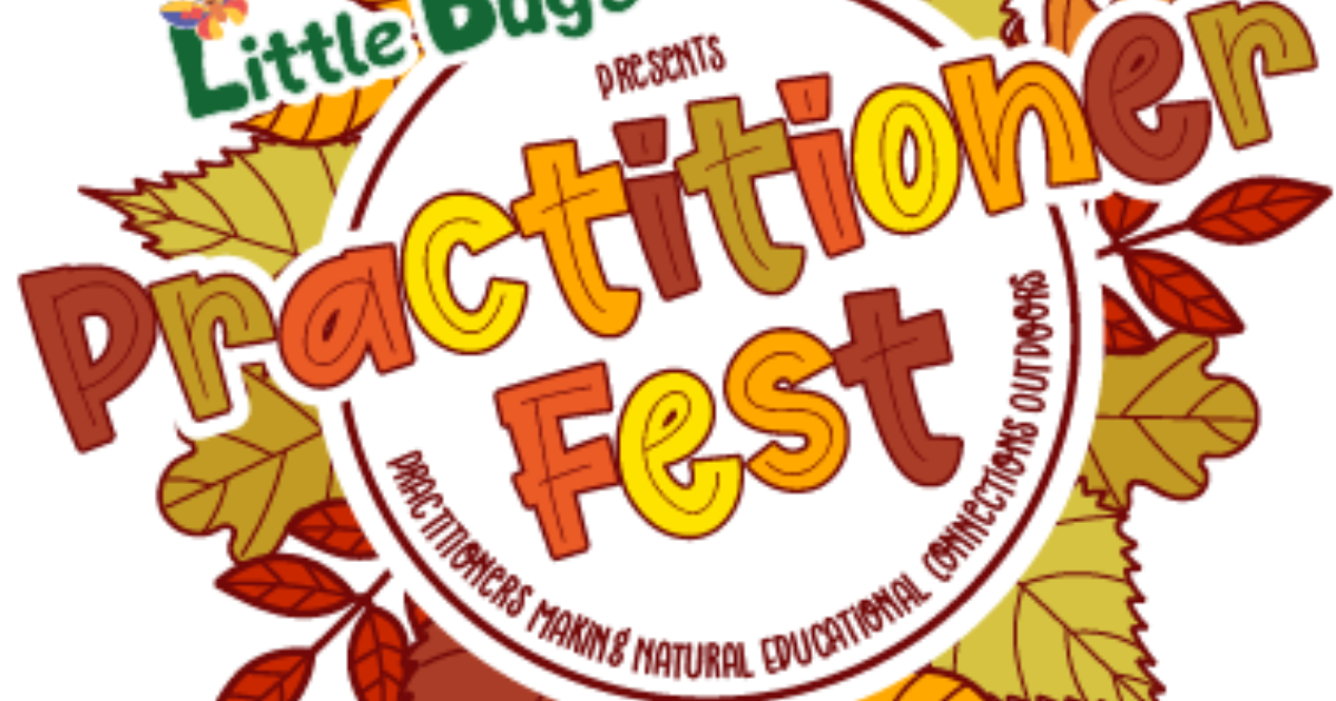 Practitioner Festival | Muddy Faces