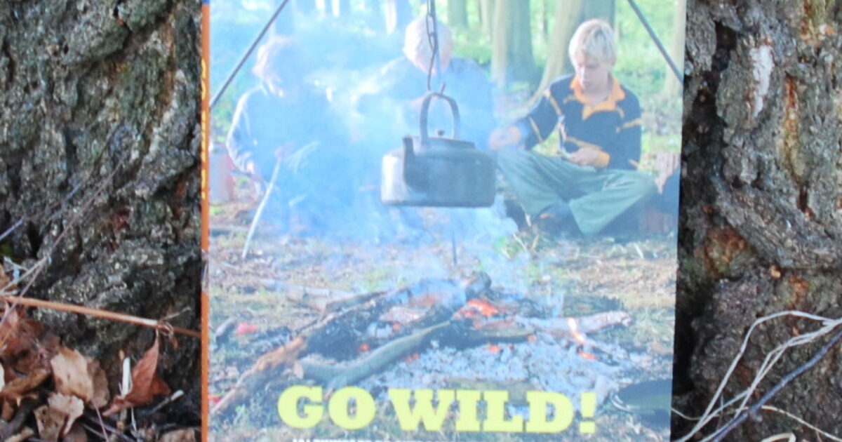 The Wild Weather Book by Fiona Danks The Wild Weather Book by Fiona Danks