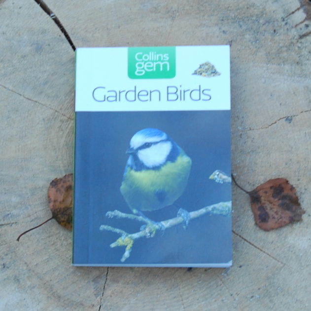 Garden Birds - Collins Gem | Muddy Faces