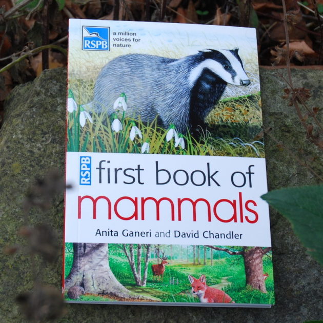 RSPB First Book of Mammals | Muddy Faces