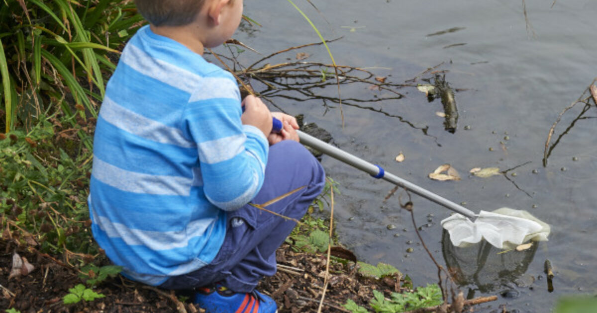CHILD'S POND DIPPING NET BUTTERFLY NET WITH FREE SPOTTER CARDS 