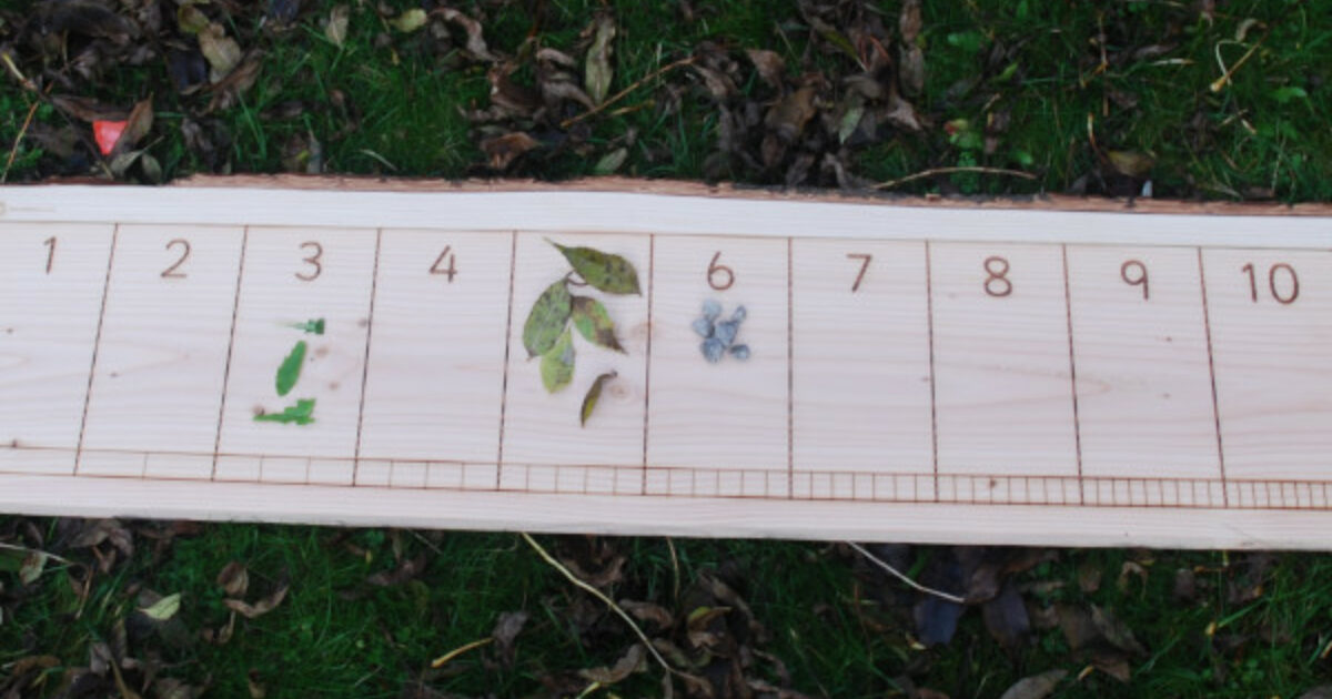 Planc Math Maths Planks | Maths | Muddy Faces