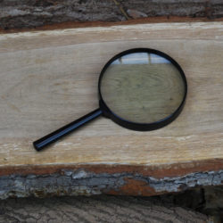 magnifying glass