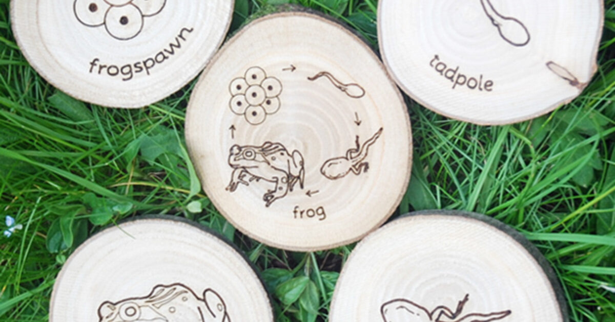 SpawnSurvey Muddy Faces