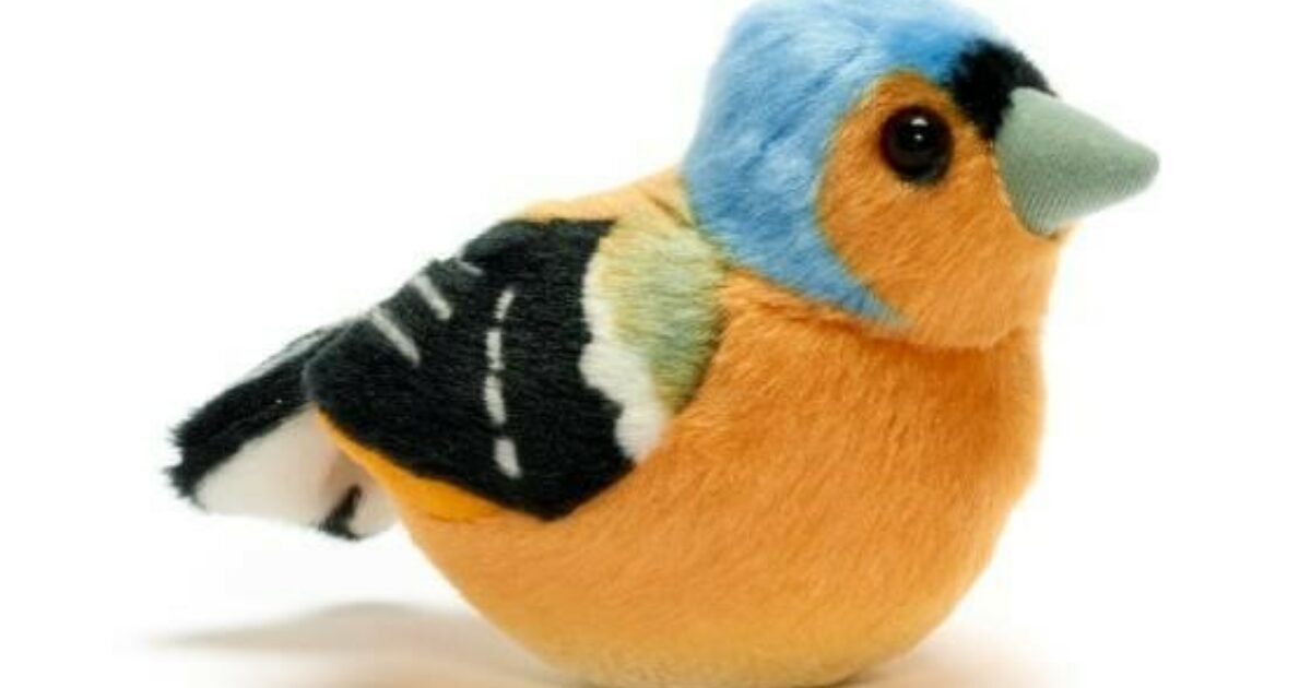 Chaffinch Bird Rspb Plush Birds Chaffinch Singing Bird Muddy Faces