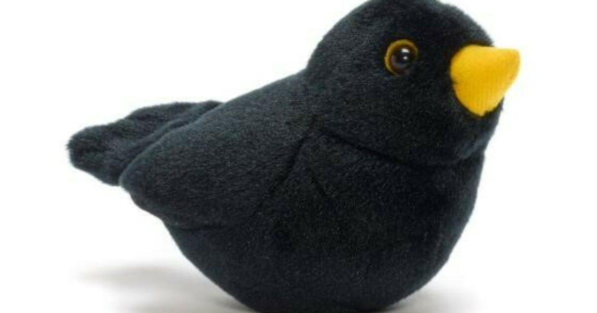 blackbird plush