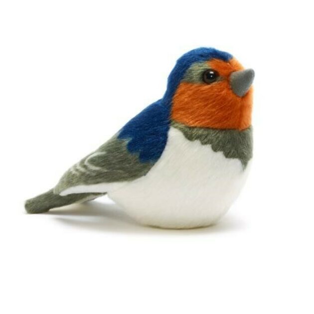 Swallow - Singing Bird | Muddy Faces