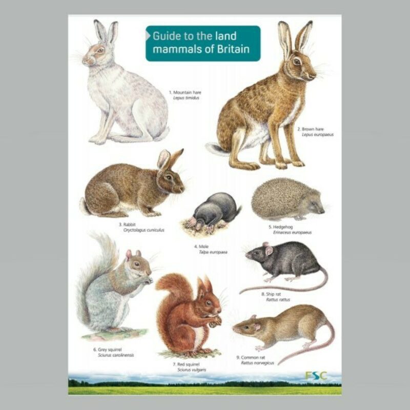 GWFIE12-Field-Guide-Land-