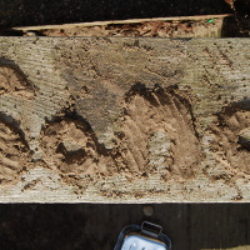 sand writing piles