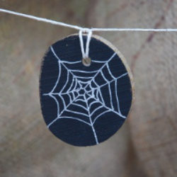 spiders web disc