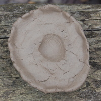 clay mould shell