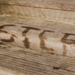 step written in water on a step