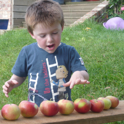Boy counting apples