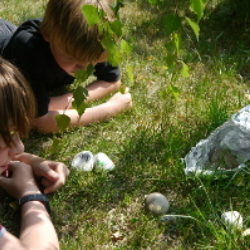 finding alien pebbles