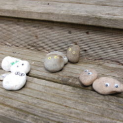 pebble creatures sorted into colour piles