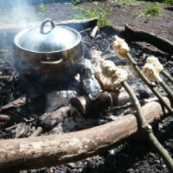 log campfire