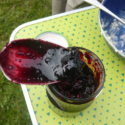bilberry jam
