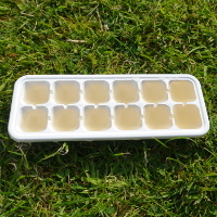 elderflower cordial in ice cube trays