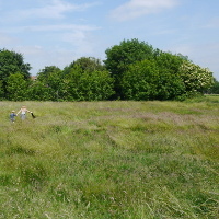 children running through long grass with trees in background