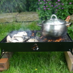 double firebox with pan on right side grill