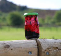 bilberry jam