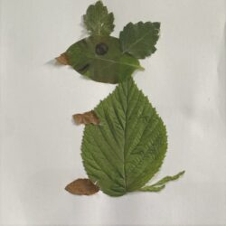 leaf animal