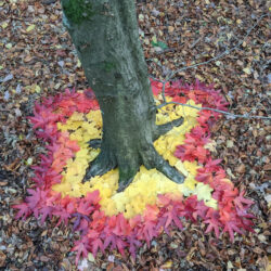 autumn leaves pattern around tree