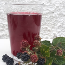 Glass of blackberry cordial
