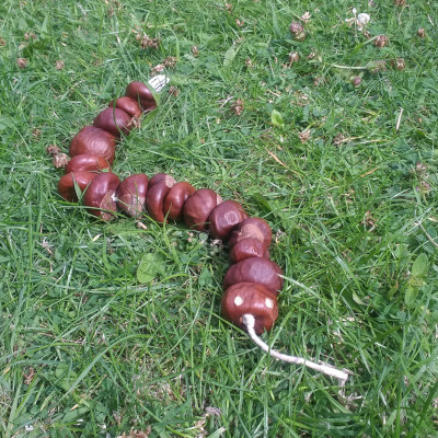 conker snake