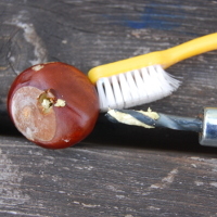 cleaning palm drill with a toothbrush