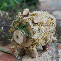 wood hog covered in dandelion petals