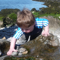 child looking at pebbles in rockpool