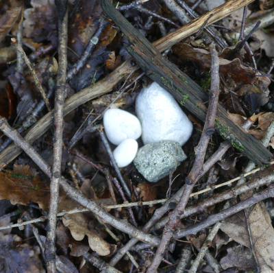 selection of pebbles in stick nest to look like eggs