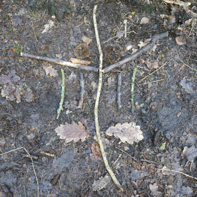 symmetrical pattern using stick laid on ground