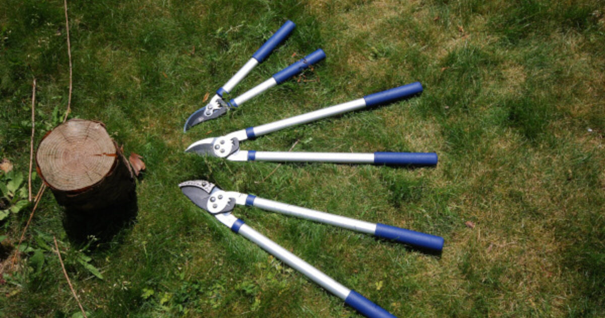 How to use loppers Activities Muddy Faces