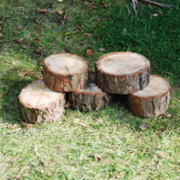 Pile of log rounds
