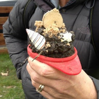 ice cream cone made of mud and shells
