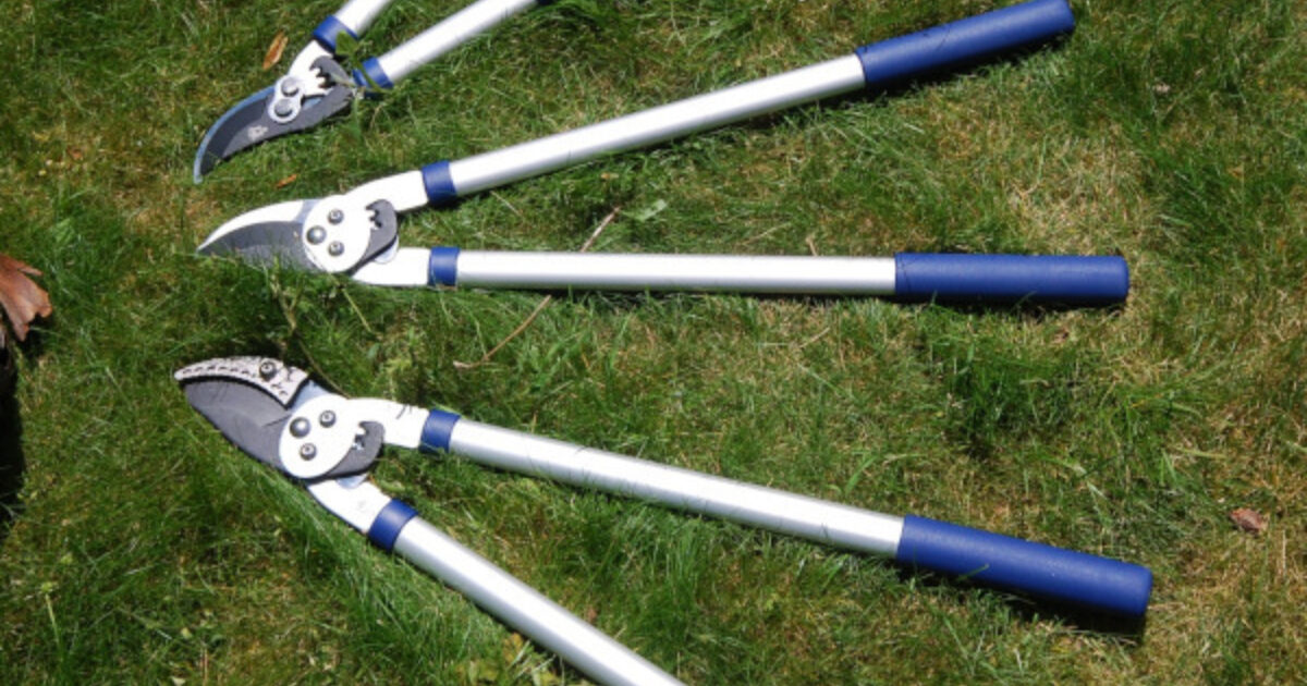 Loppers and secateurs hot sale