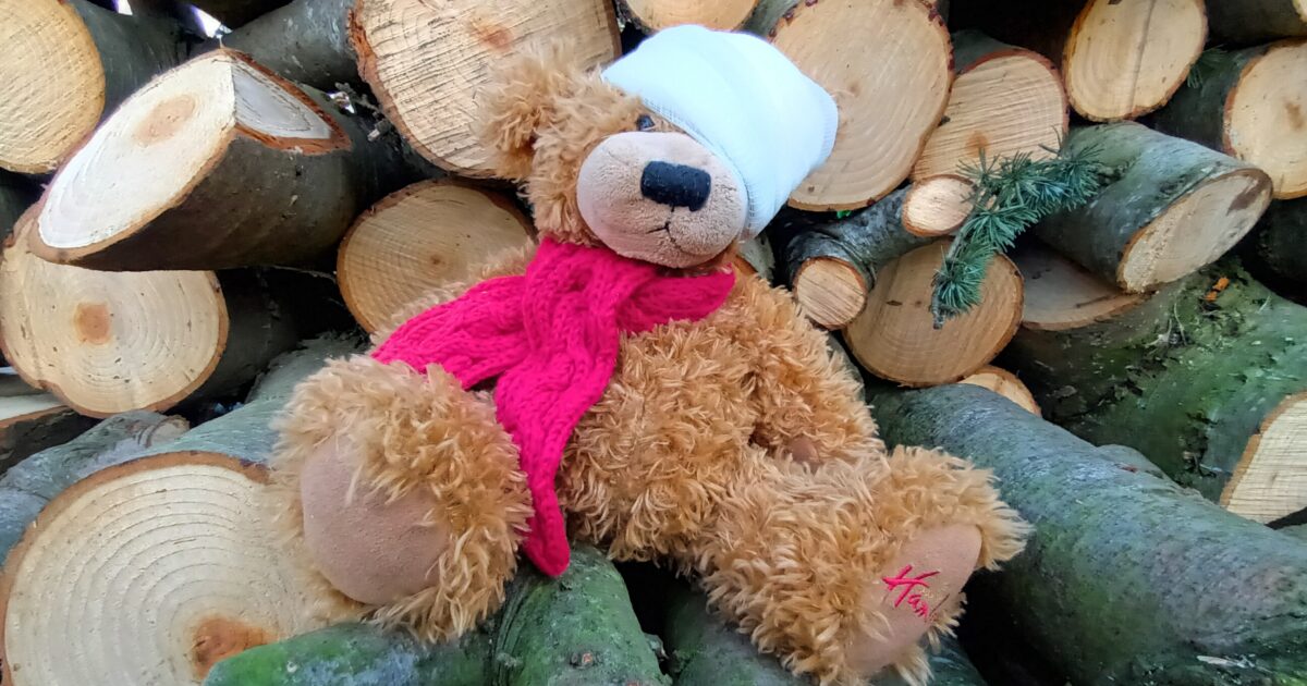 First Aid for Forest School Training Course; Coventry,… Muddy Faces