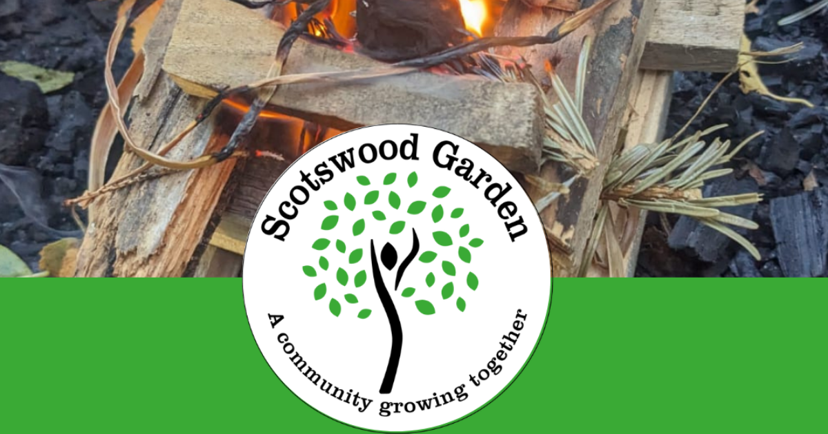 Forest School Level 1 Award: Introduction to Forest… | Muddy Faces