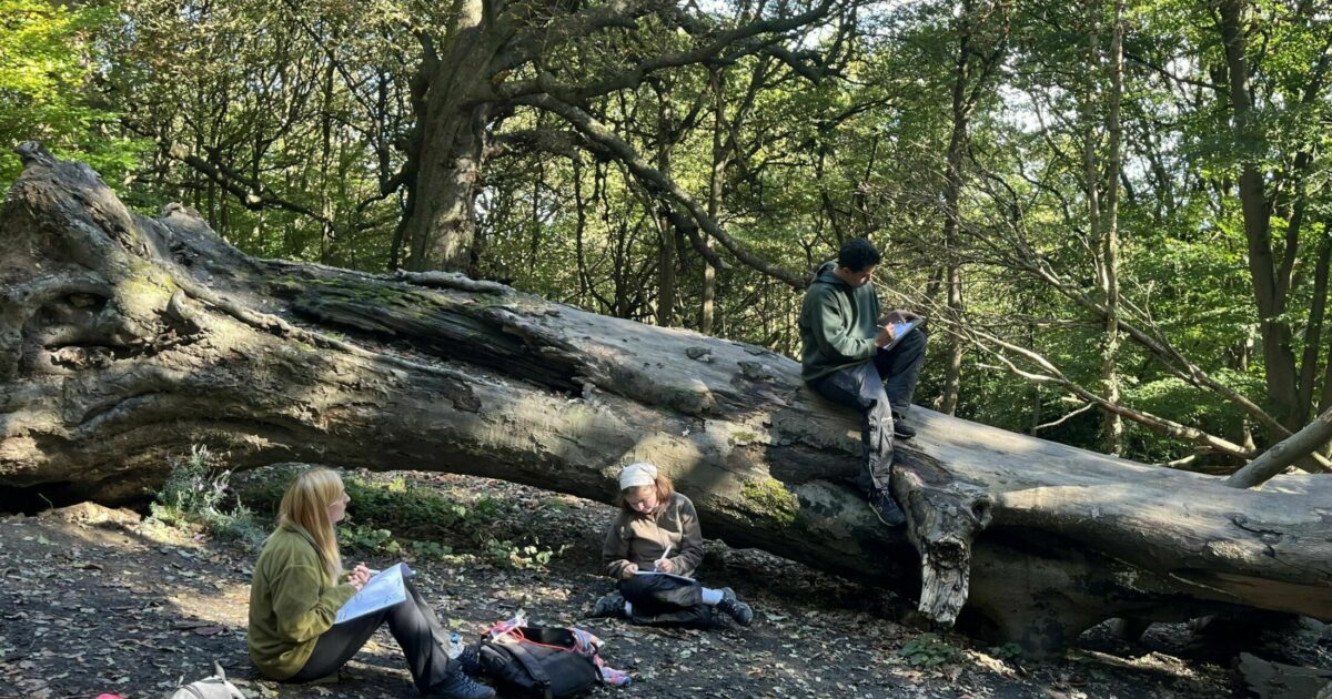 Level 3 Forest School Leader Training (Autumn Term,… | Muddy Faces