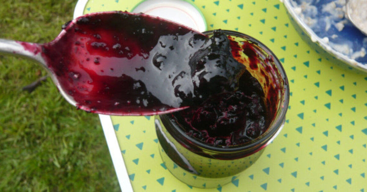 Bilberry jam recipe Activities Muddy Faces