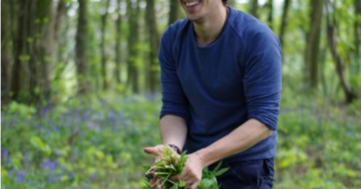 Foraging For Humans | Foraging for Food: Tips, Common Foods, Safety ...