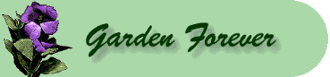 Gardenforever4