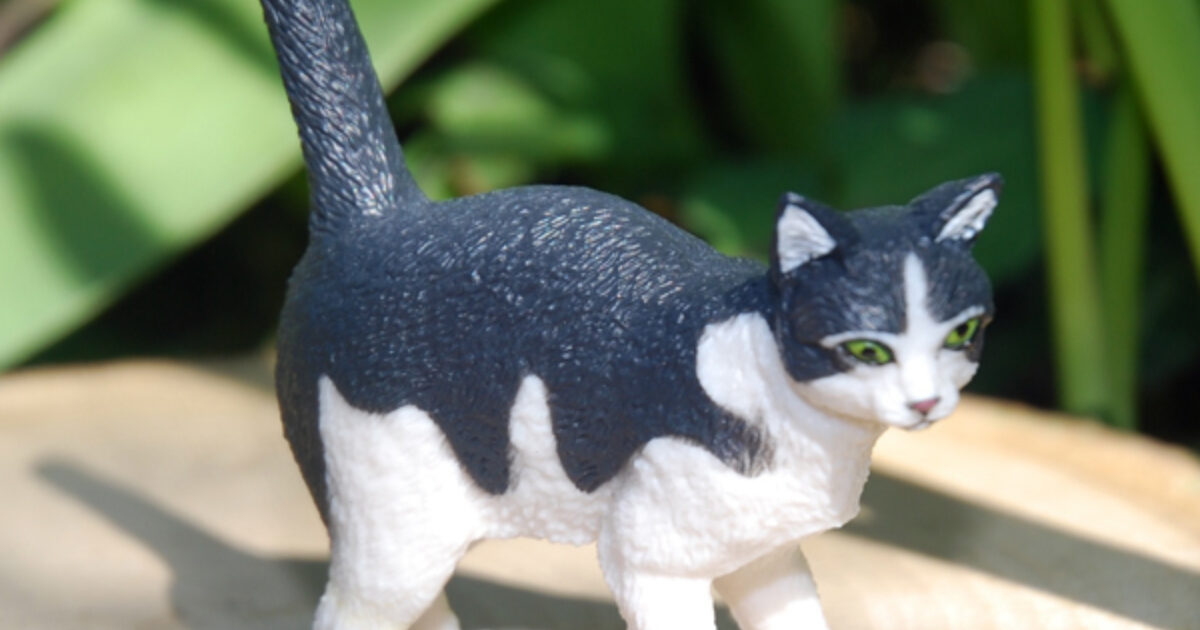 Black and white cat plush clearance