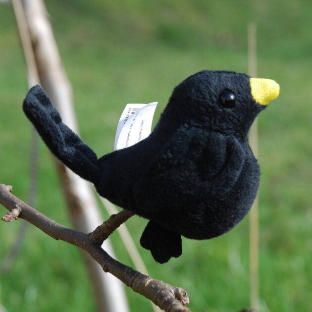 Blackbird Finger Puppet Muddy Faces