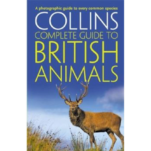STE201-Collins-British-