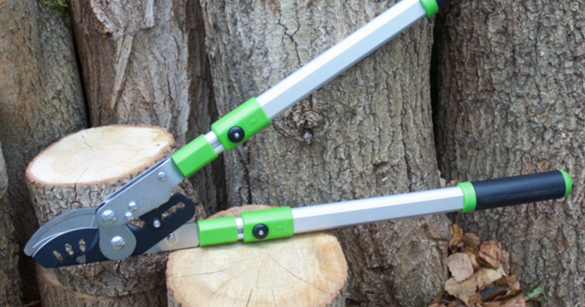 Extendable loppers sale