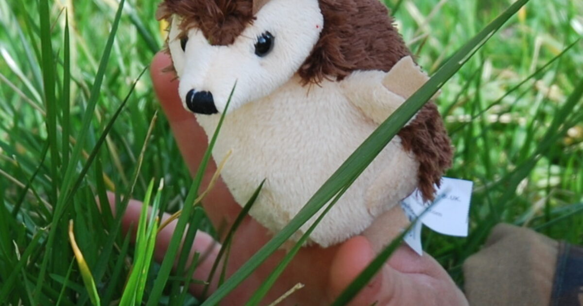 Hedgehog 2025 hand puppet